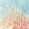 Coral Reef IV Poster Print by Cynthia Coulter - Item # VARPDXRB9385CC